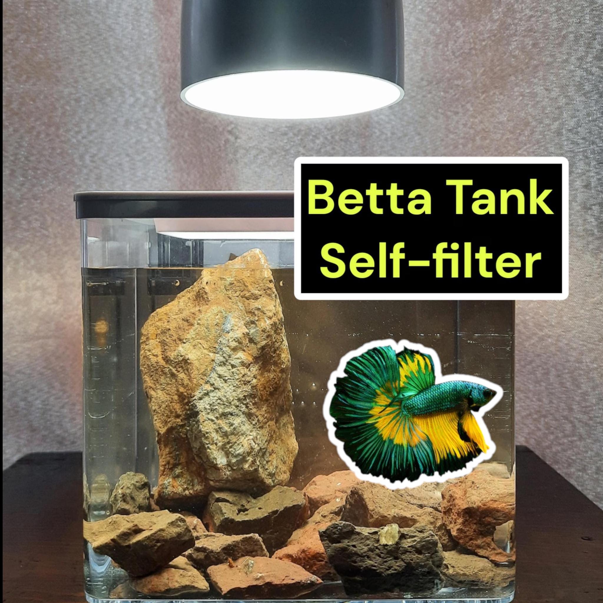 Minimalist Betta Tank with Built-in Filtration System | Just Add Water | No Power Required