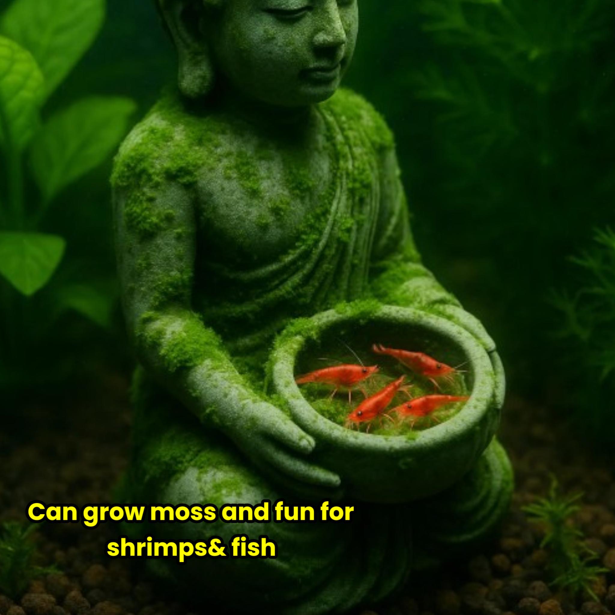 Buddha Statue with Bowl β Aquarium & Terrarium Decor | Insect or Fish Safe Isopod