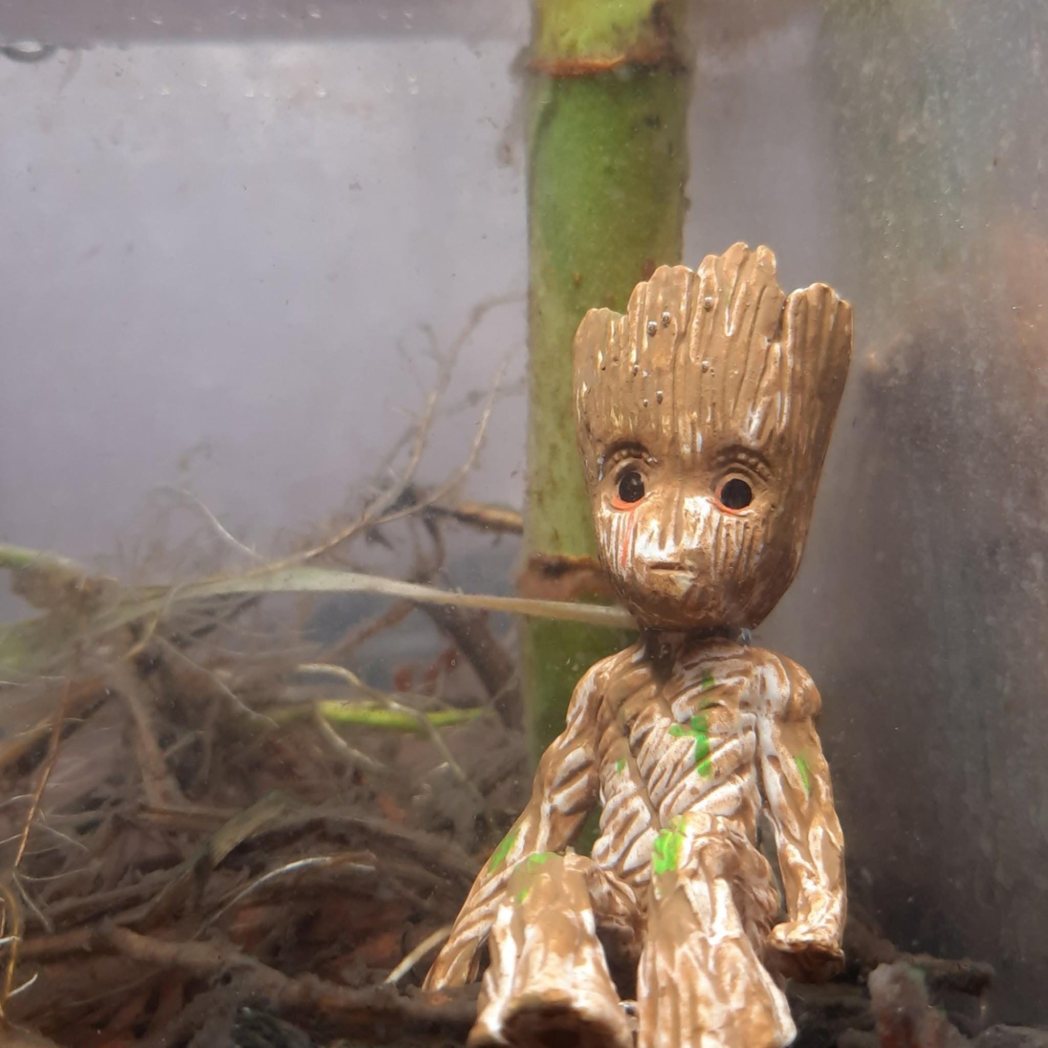 Mini Groot Aquarium Decoration: Resin Terrarium Figurine