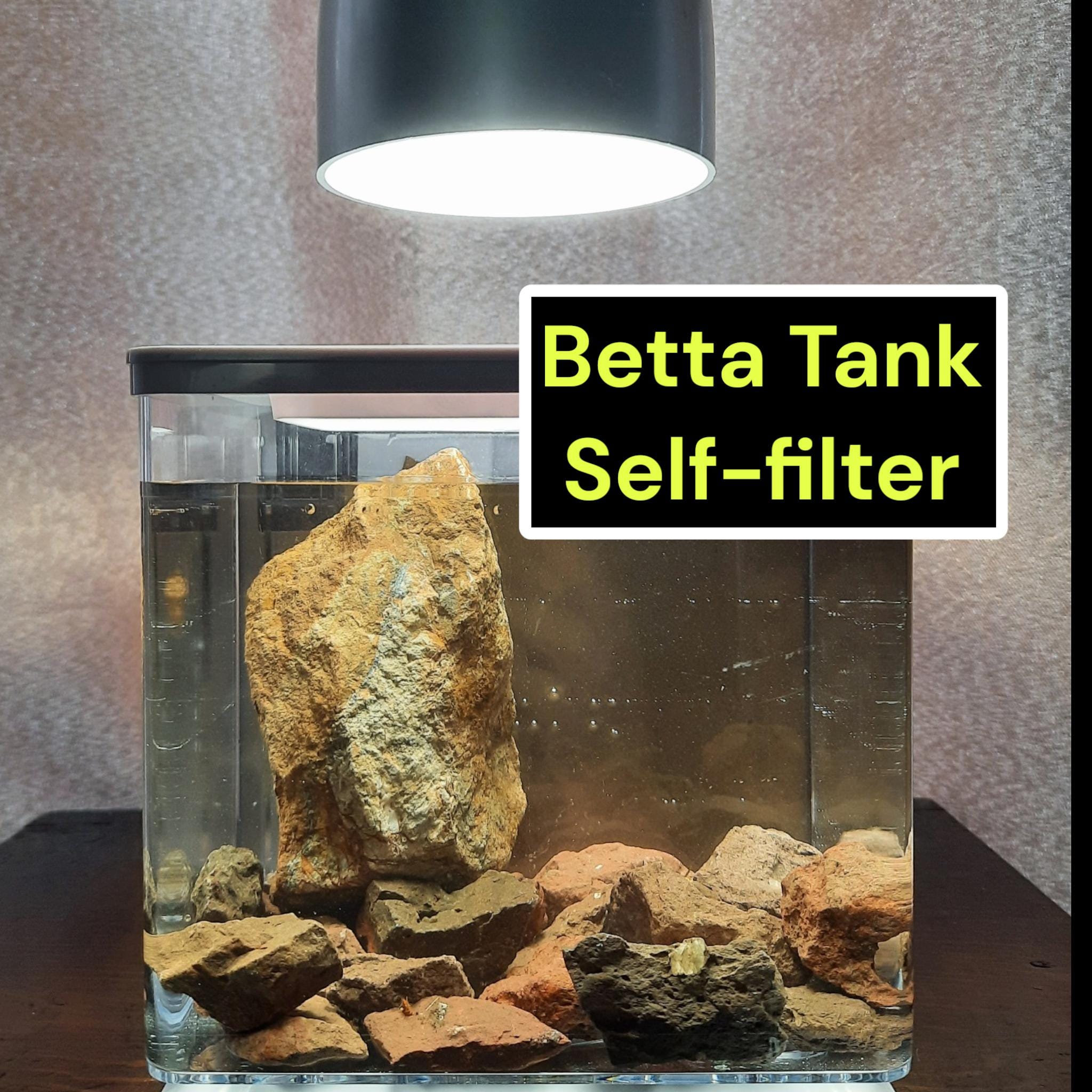 Minimalist Betta Tank with Built-in Filtration System | Just Add Water | No Power Required