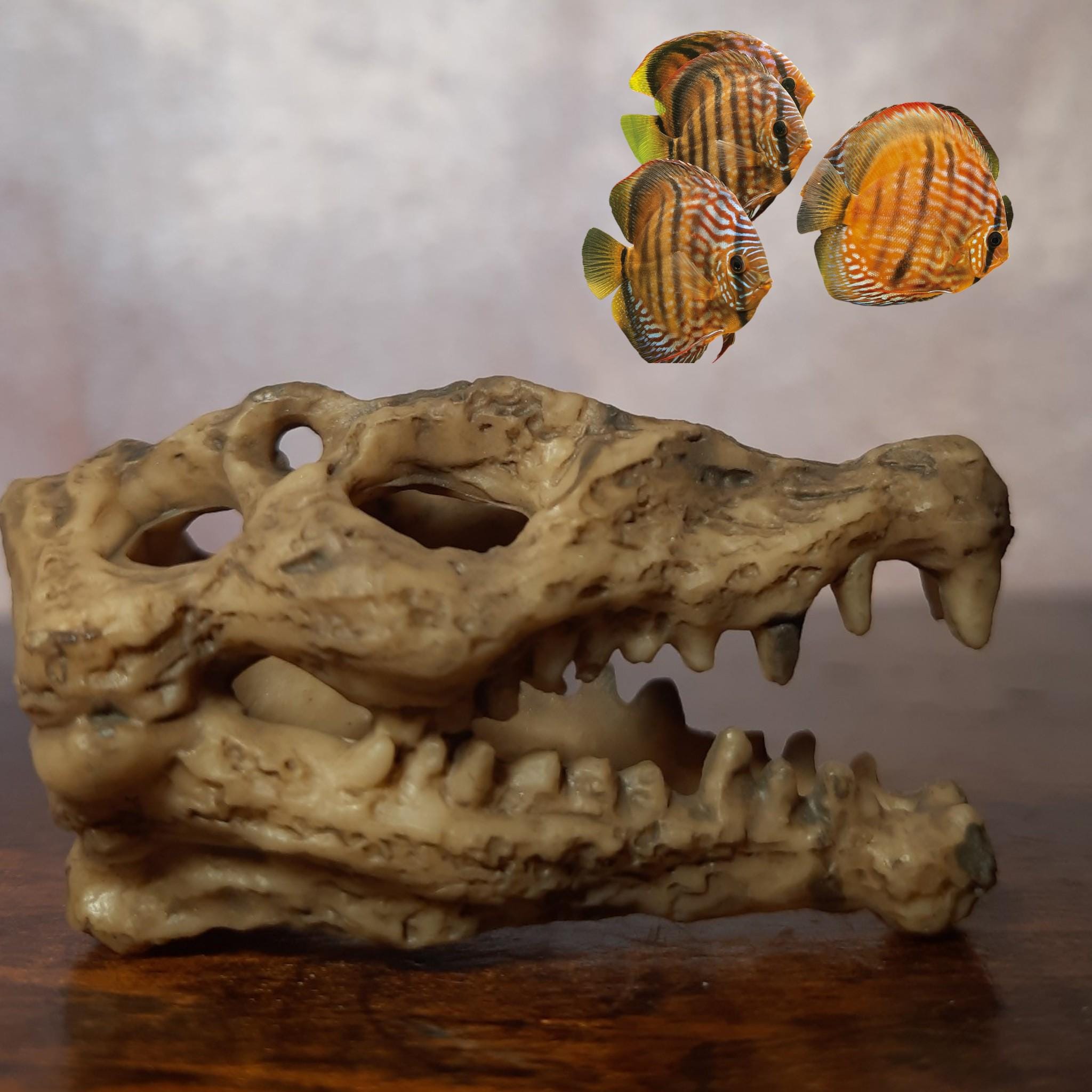 Mini Dinosaur Skull Aquarium Decoration: Resin Fossil for Fish Tank