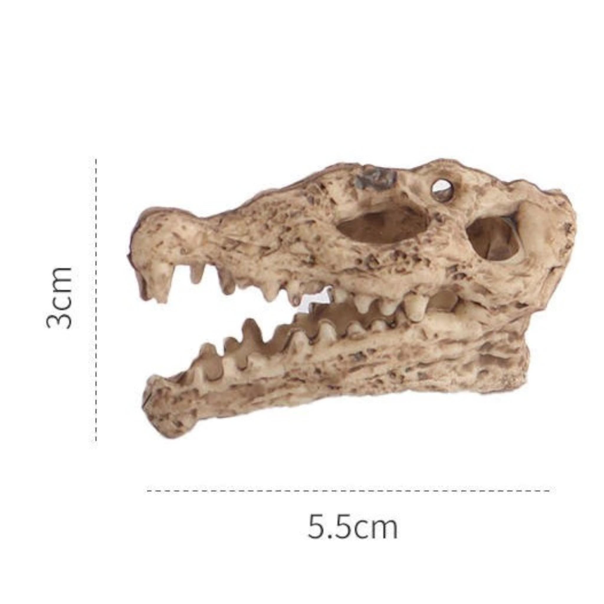 Mini Dinosaur Skull Aquarium Decoration: Resin Fossil for Fish Tank