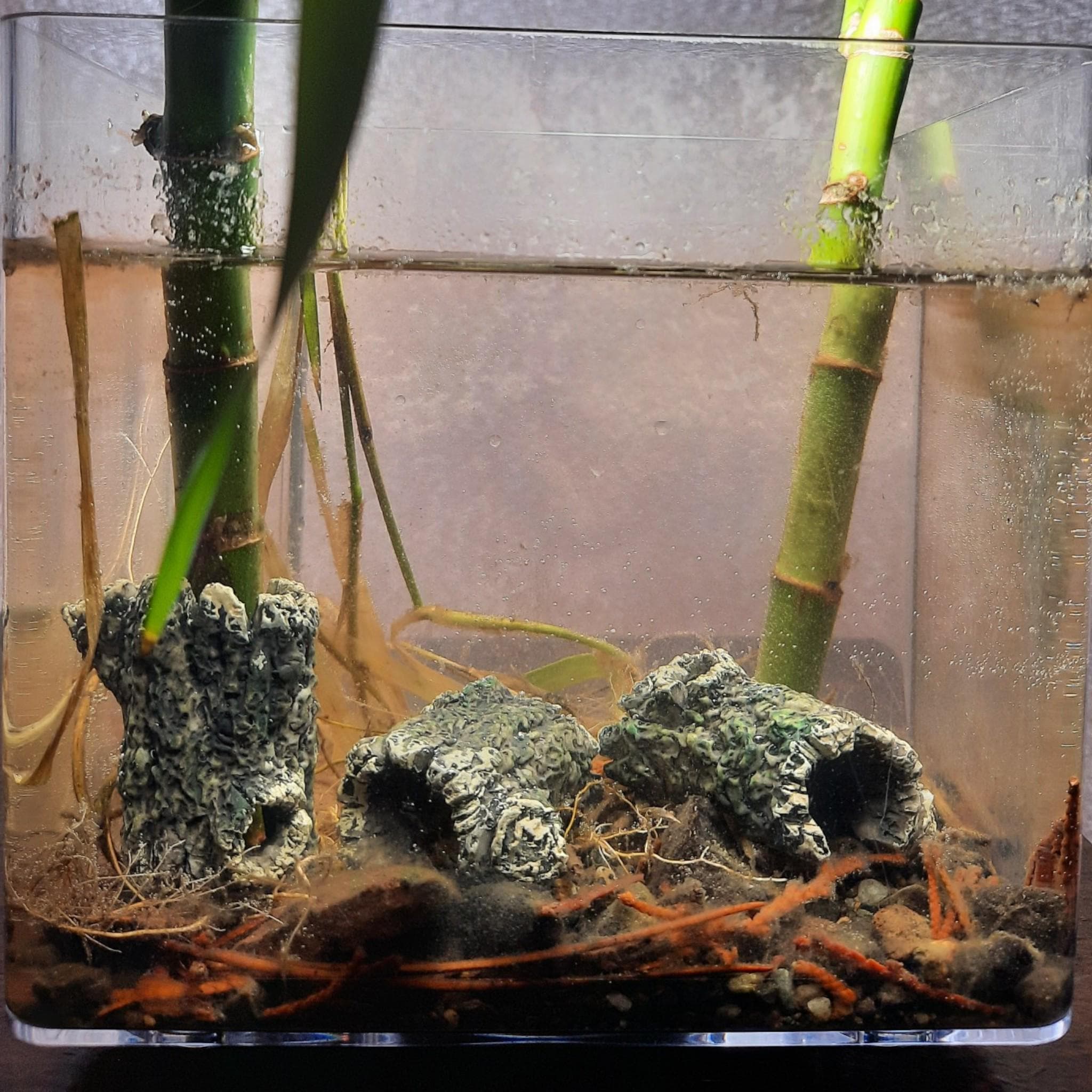 Mini Aquarium Log wood Hideout: Resin Fish Tank & Terrarium Cave