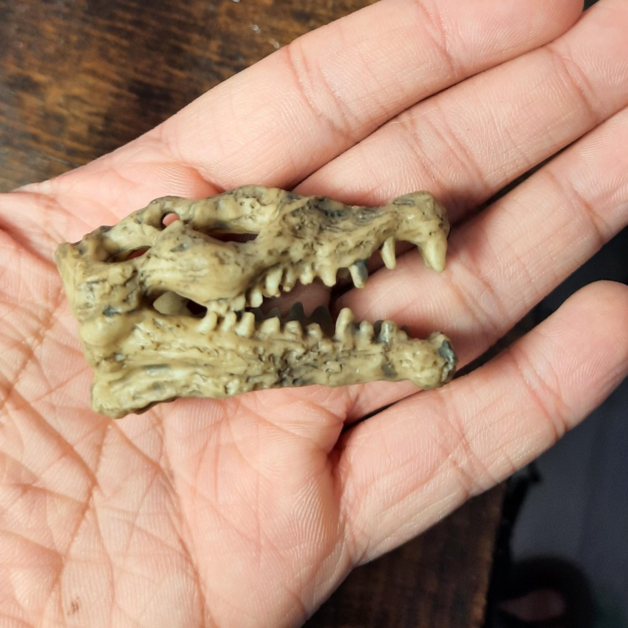 Mini Dinosaur Skull Aquarium Decoration: Resin Fossil for Fish Tank