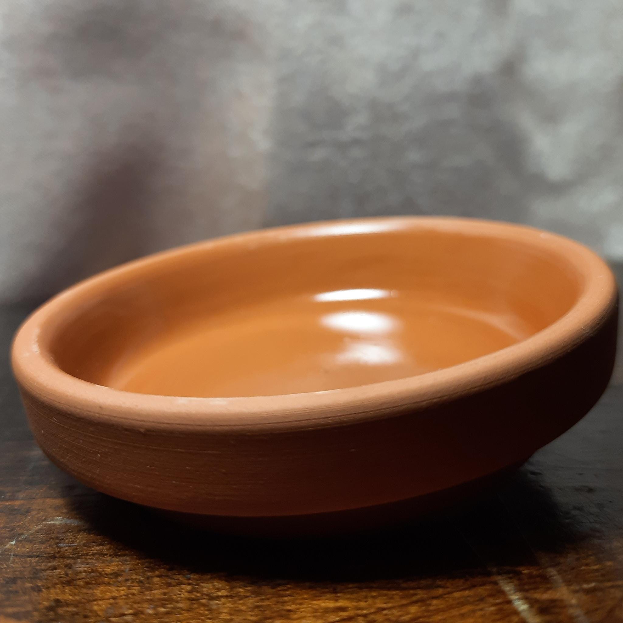 Ceramic Shrimp Feeding Dish: Terracotta Aquarium Plate for Nano Tanks